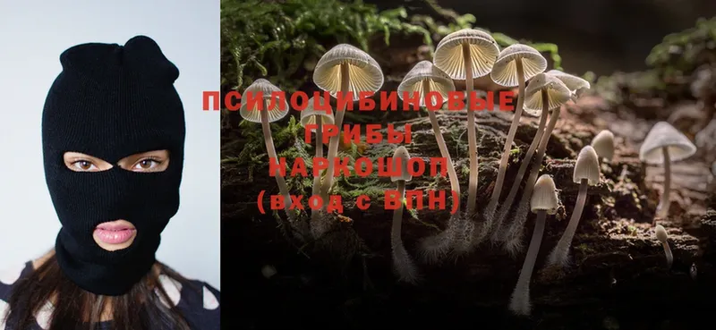 купить наркотики цена  Миасс  Галлюциногенные грибы Psilocybe 